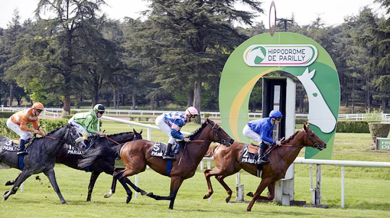 Course hippique Lyon Bron Hippodrome Parilly