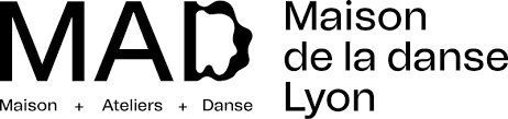Salle de spéctacle lyon 8eme maison de la dance