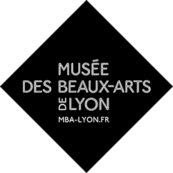 musée Lyon Musée des Beaux-Arts de Lyon