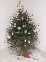 Notre zone d'activité pour ce service Idée cadeau tour en avion pour Noël