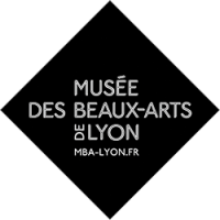 musée Lyon Musée des Beaux-Arts de Lyon